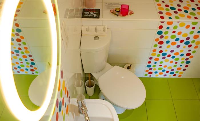 Hen Ffermdy cottage en-suite shower room with green and spotty coloured tiles